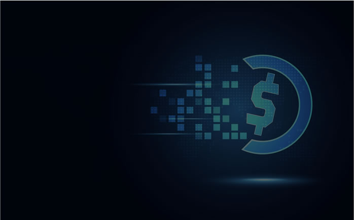 Sistemas de Pagamento